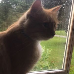 Meet your Posher, Cathy